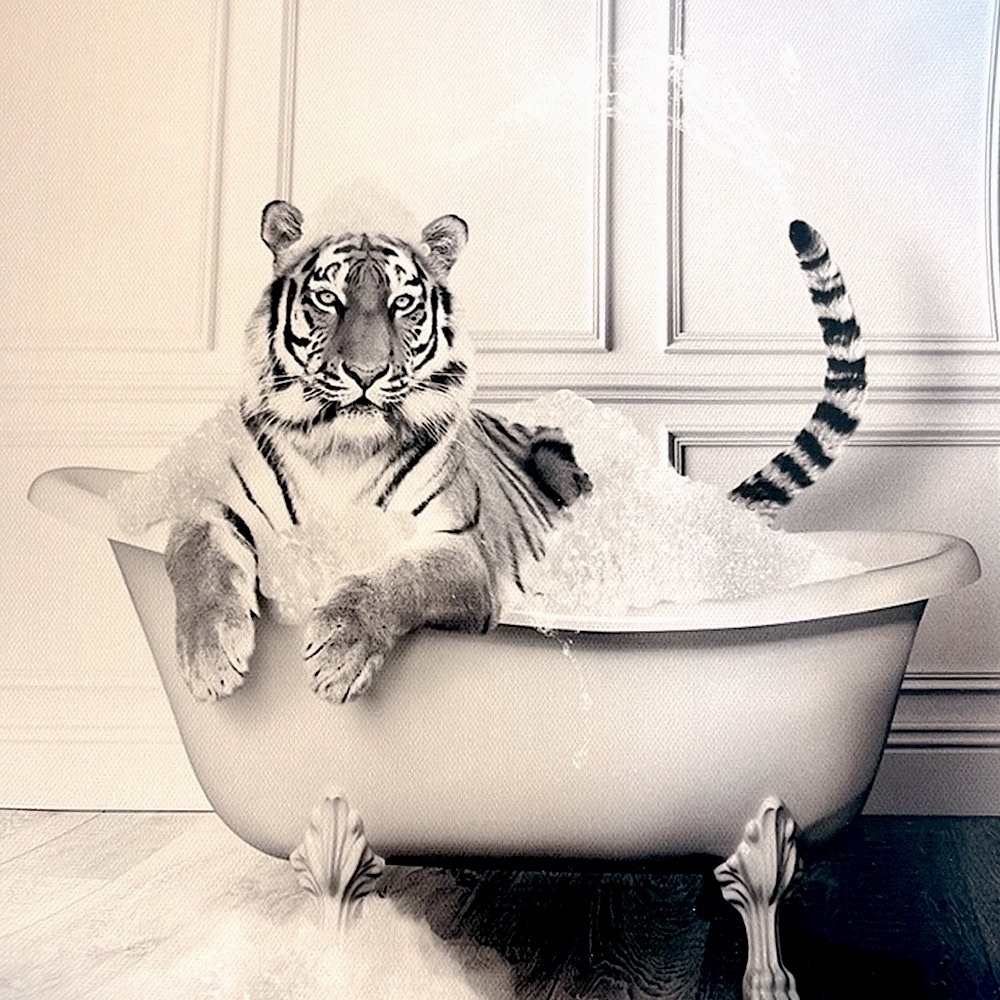 Tiger in Bathtub Print New